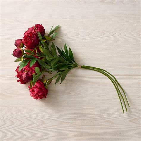 Faux Red Grace Peony Stems West Elm