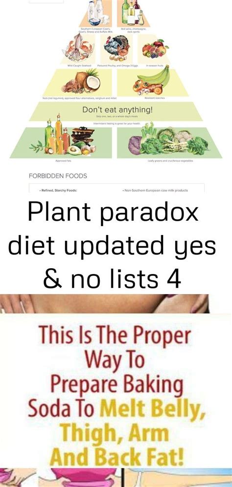 Plant Paradox Diet Updated Yes And No Lists 4 Plant Paradox Diet 6 Pack Abs Workout Belly