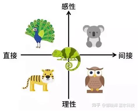 五种动物老虎孔雀考拉猫头鹰变色龙与企业团队的骨干 知乎