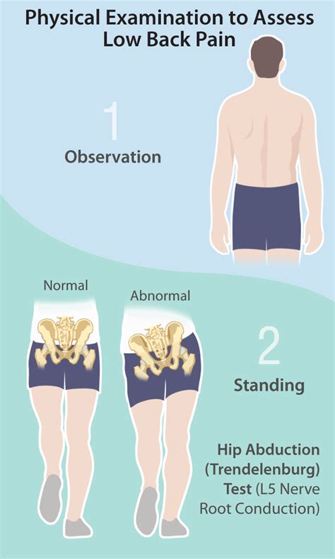Making Sense of Low Back Pain | HealthPlexus.net