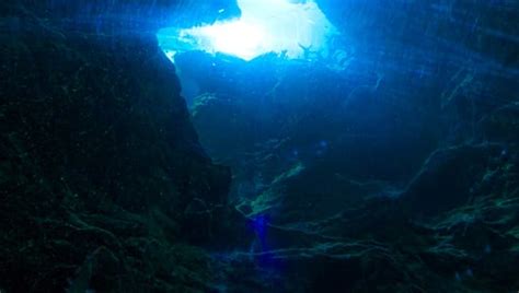 Scientists Discover Life Deep In Oceanic Crust Nothing Horrifying Just