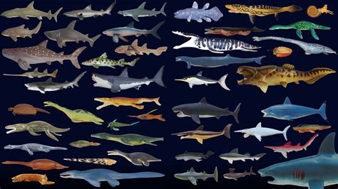 Prehistoric Sea Animals