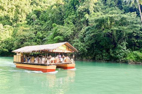 Diving in Bohol: What You Need to Know - Claire's Footsteps