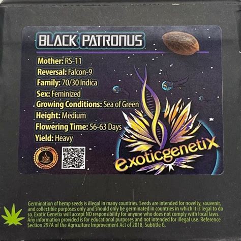 Exotic Genetix Black Patronus Fem Brotanical Gardens Seed Bank