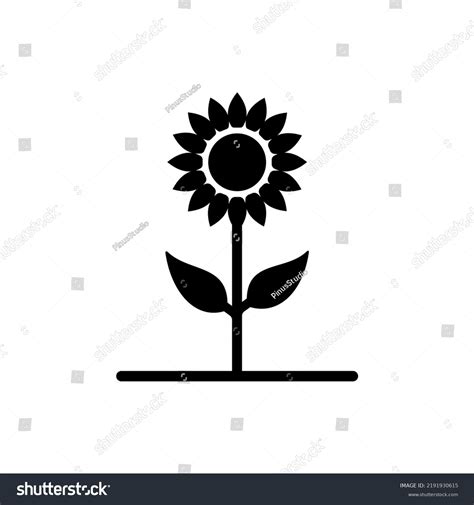 Sunflower Icon Sunflower Silhouette Vector Logo Stock Vector Royalty