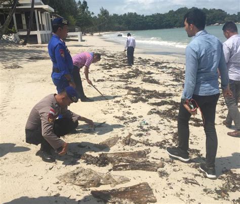 Minyak Hitam Cemari Pantai Pengelola Wisata Lagoi Lapor Polisi News