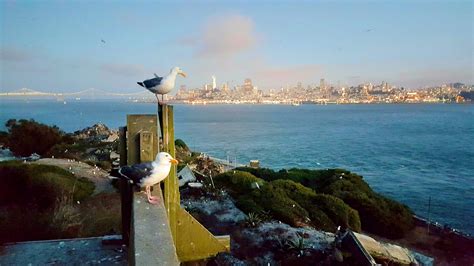 Why you should definitely do an Alcatraz Night Tour - Sightseeing Scientist