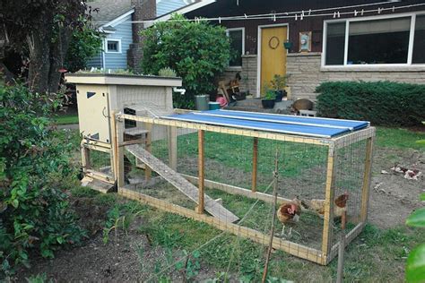 How to Build a Movable Chicken Coop or Tractor | PetHelpful