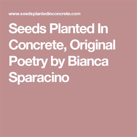 Seeds Planted In Concrete Original Poetry By Bianca Sparacino