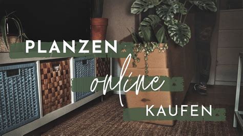 PFLANZEN UNBOXING Pflanzen Online Bestellen YouTube