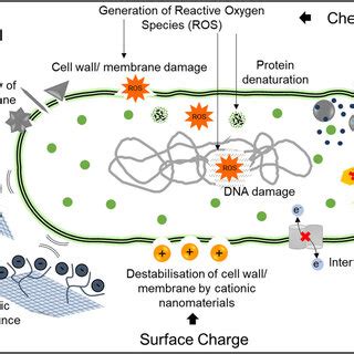 Schematic Representation Of Different Nanocarrier Systems And Their