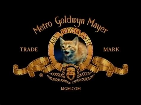 Mimsie The Mtm Cat In The Metro Goldwyn Mayer Logo Random Photo