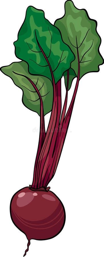 Plantaardige Het Beeldverhaalillustratie Van De Biet Vector Illustratie