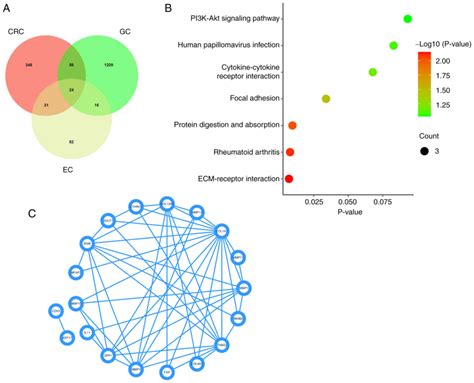 Role Of SPP1 In The Diagnosis Of Gastrointestinal Cancer