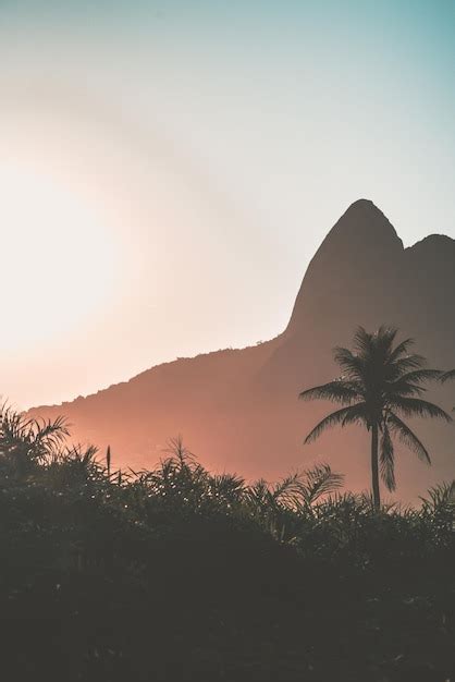 Silueta De Palmeiras Contra O C U Durante O P R Do Sol Foto Premium