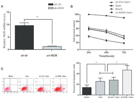 Linc Ror Influences Cell Viability And Apoptosis In Gem Treated