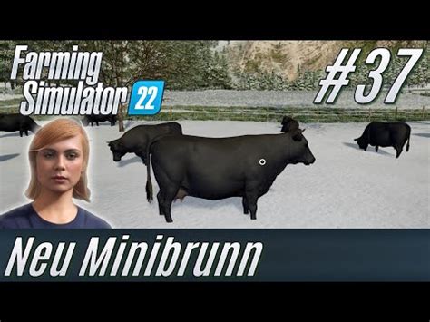 Ls Rinderzucht In Neu Minibrunn Tiere Im Schnee Deutsch Youtube