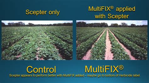 introduction  multifix