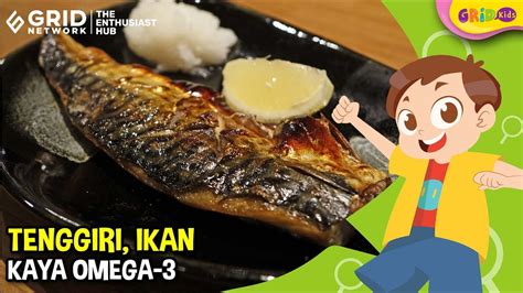 Manfaat Ikan Tenggiri Bagi Kesehatan Bisa Menjaga Kesehatan Otak