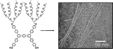 Nanofibers From Self Assembly Of An Aromatic Facial Amphiphile With