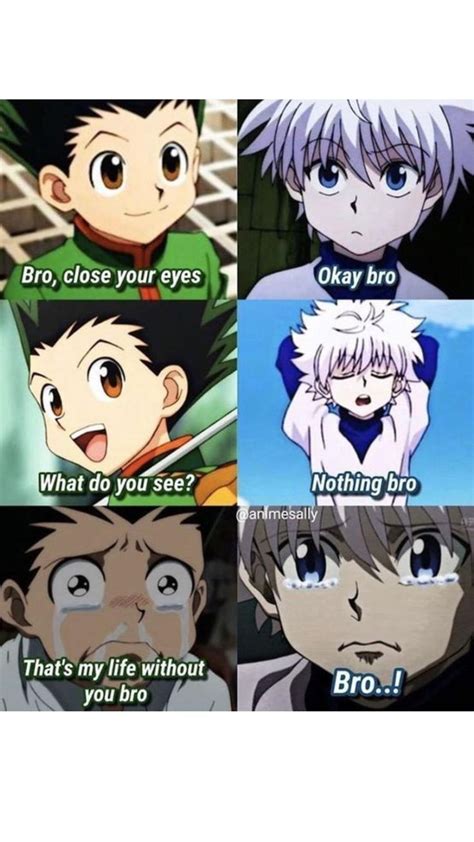 Funny Hunter X Hunter Anime Memes