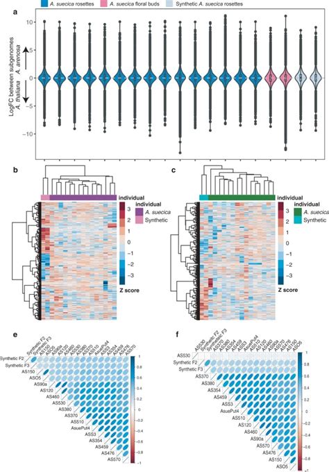 Gradual Evolution Of Allopolyploidy In Arabidopsis Suecica Nature