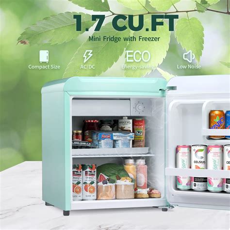 Crzoe Mini refrigerador de 17 pies cúbicos con congelador refrigerador