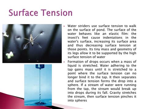 Ppt Biomedical Importance Of Surface Tension Powerpoint Presentation Id 2778612