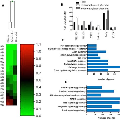 Clustering Analysis Of The Differentially Methylated Cpg Sites Pre