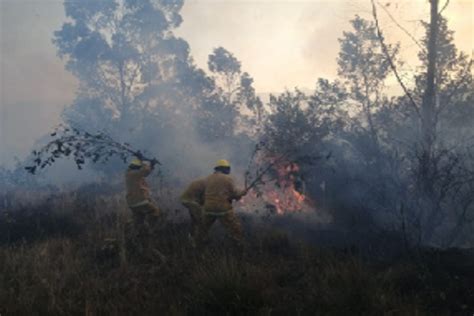 Áncash Controlan Incendio Forestal Debajo Del Nevado Huascarán News