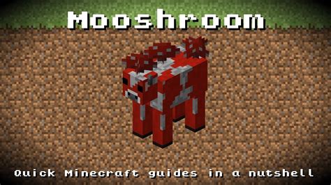 Minecraft Mooshroom Breeding Health Points Experience Drop Up