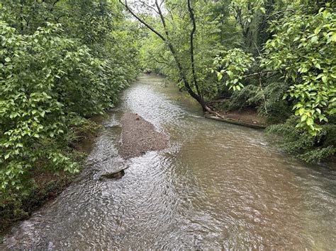 Discovering Nashville's History Through Funeral Obituaries and Memorial Services 4