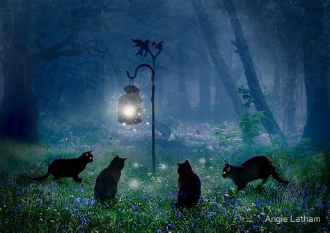 The Witches Cats By Angie Latham Redbubble