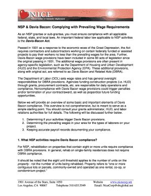 Fillable Online NSP Davis Bacon Complying With Prevailing Wage