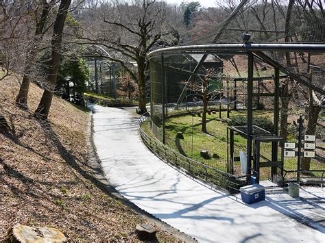 高病原性鳥インフルエンザ発生への多摩動物公園の対応 ｜ 東京ズーネット