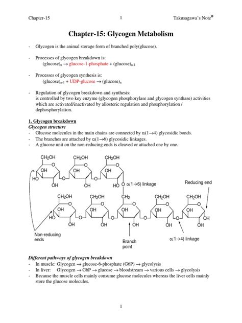 Glycogen Metabolism | Glycogen | Kinase