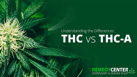 Thc Vs Thc A Understanding The Differences Remedy