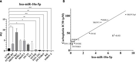 Hsa Mir P Mimics Thermo Fisher Bioz