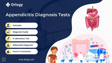 Appendicitis Definition Meaning Drlogy