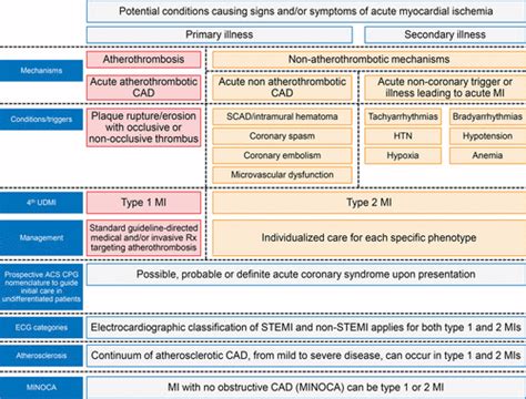 The Universal Definition Of Myocardial Infarction Circulation