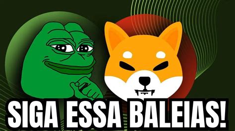 Siga Estas Baleias Para N O Perder O Pr Ximo Pepe Ou Shiba Inu Bull Run