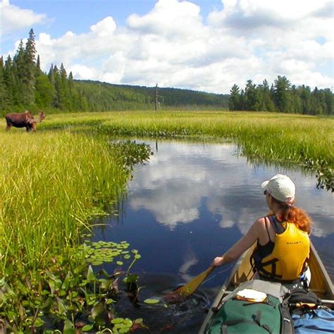 Algonquin Park Canoe Trips Algonquin Outfitters