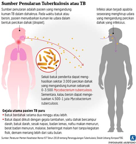 Penanggulangan Tuberkulosis Belum Berbasis Ham Kompasid