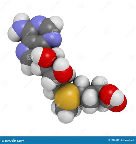 S Adenosyl Methionine Sam E Sam Molecule It Is Sulfonium Betaine