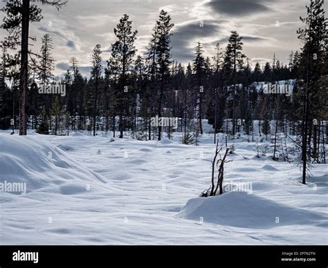 South Loup Loup Sno Park Fotografías E Imágenes De Alta Resolución Alamy