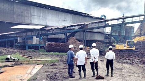 Harga Sawit Di Mukomuko Bengkulu Terus Tergerus Pabrik Baru Paling