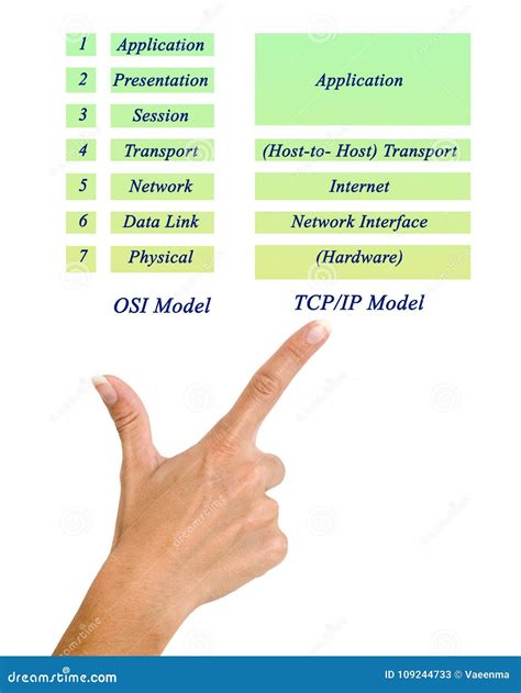 Which Layer In The Tcp/ip Model Is Used For Formatting