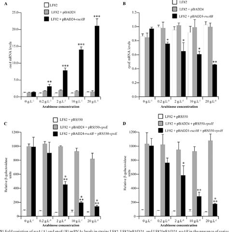 Figure 2 From The Cid1 E Pathway Is Involved In Bioﬁlm Formation By Crohns Disease