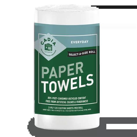 Recycled Paper Towels - CADIA®