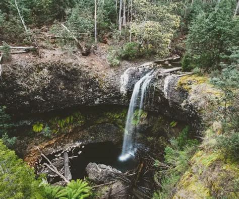 Tarraleah Falls - Walk & Lookout | Enjoy Tasmania